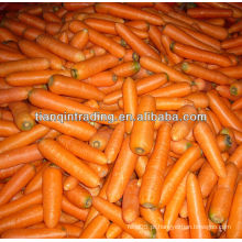 Preço de cenoura 2012